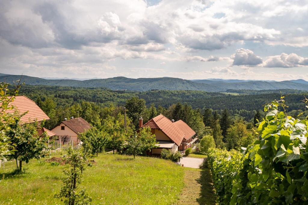 Vineyard Cottage Pod Piramido photo 3