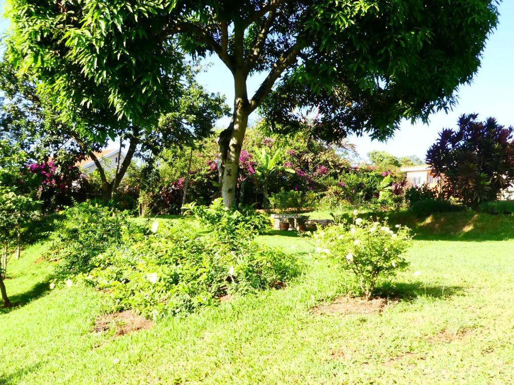 Pineapple Guest House Entebbe photo 1