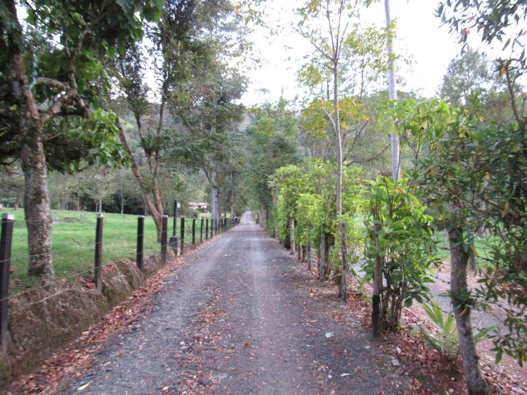 Casa Campo Valle De Cocora photo 4