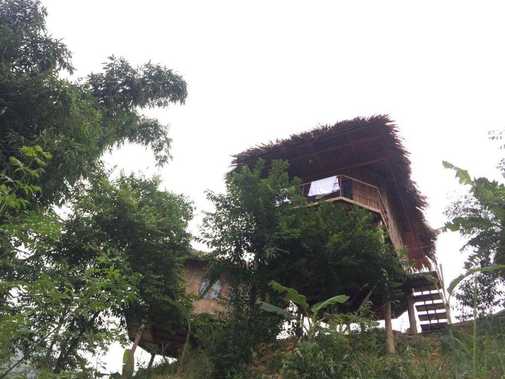 Eco Hills Homestay