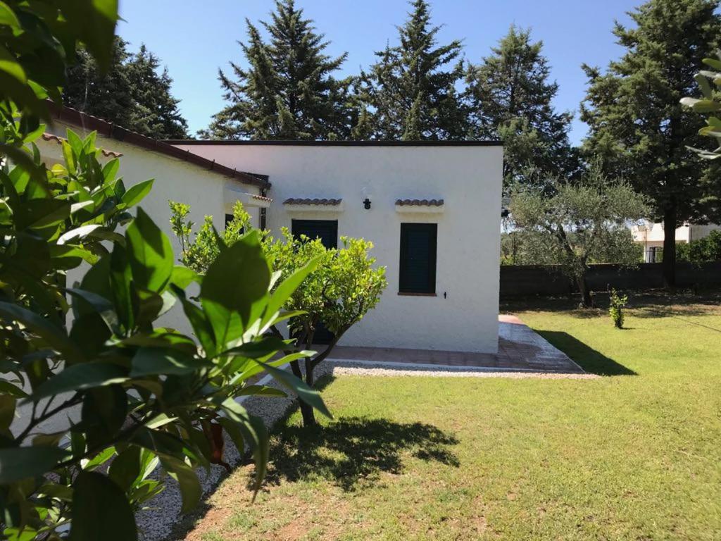 Villa Il Carrubo - Basilicata photo 4