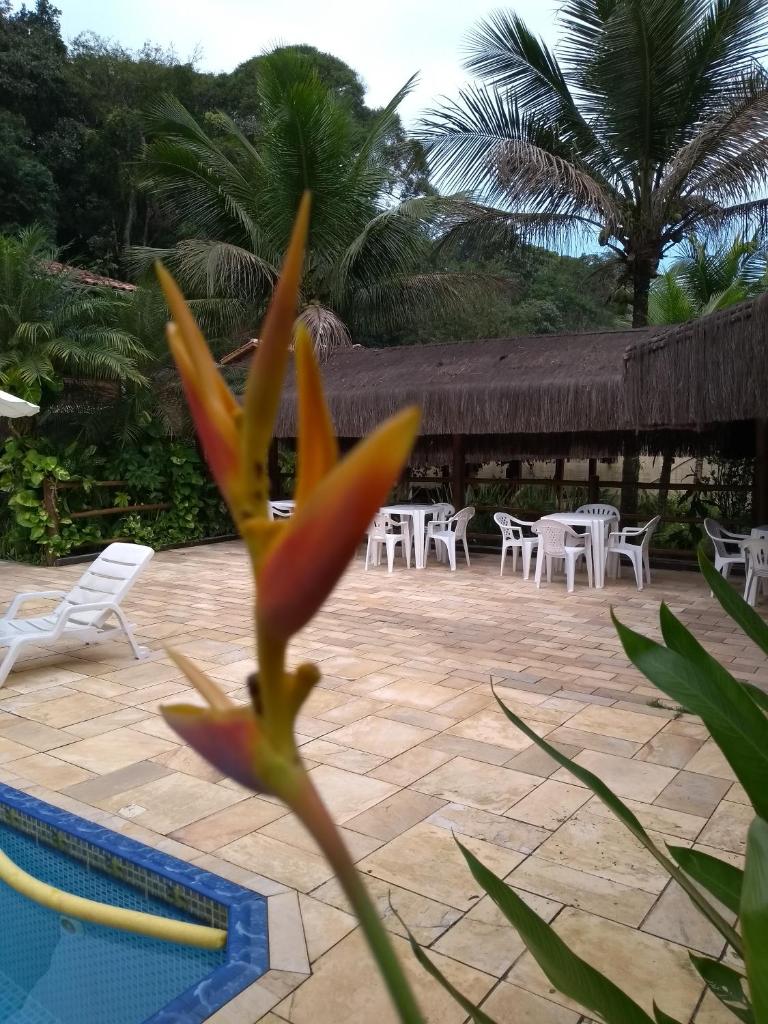 RC Sol de Boiçucanga - Suite photo 4