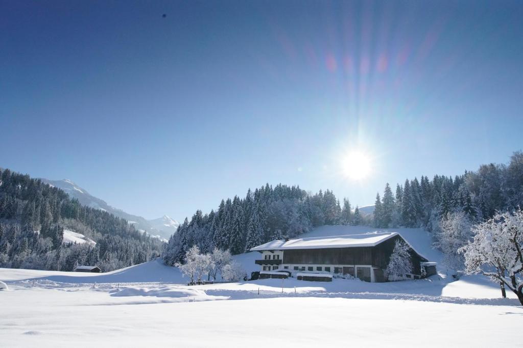 Getznerhof photo 2