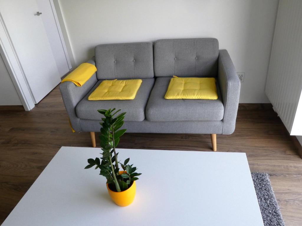 Апартаменты (Апартаменты), Apartament Cube