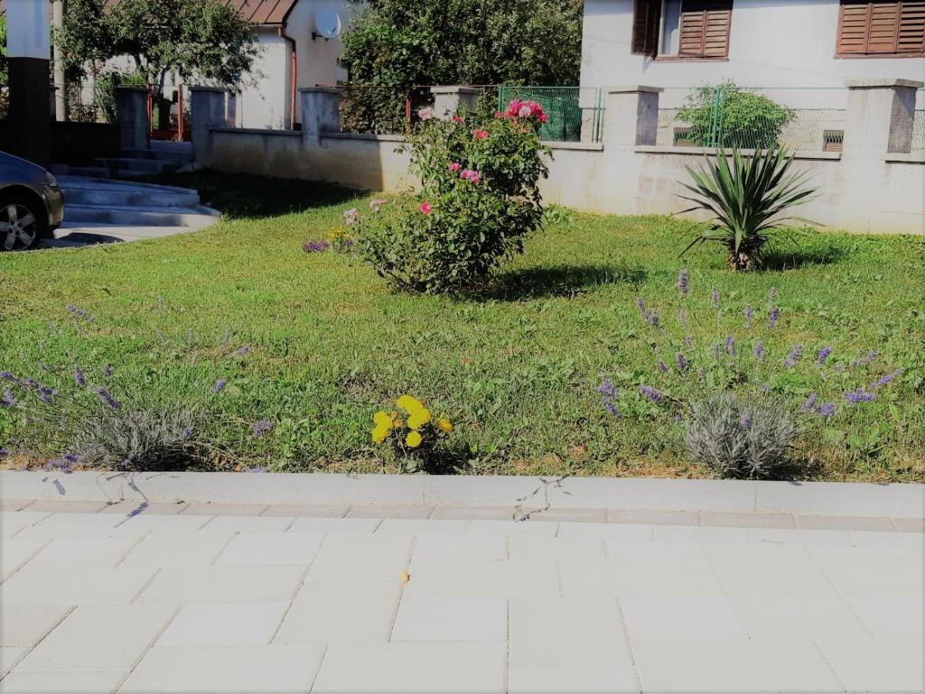 Apartment Upper Town photo 1
