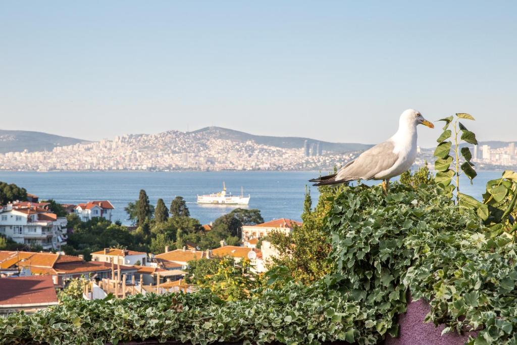 L'isola Guesthouse photo 4