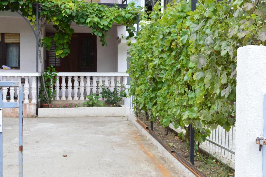 Apartman Linera photo 3