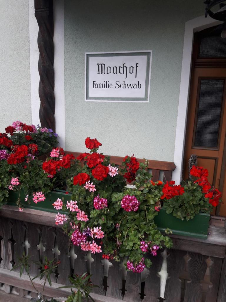 Moarhof photo 2