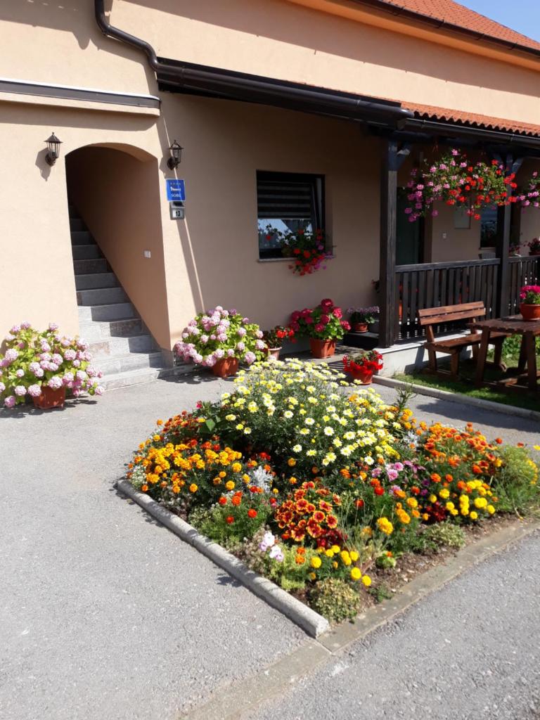 Guest House Vana photo 1