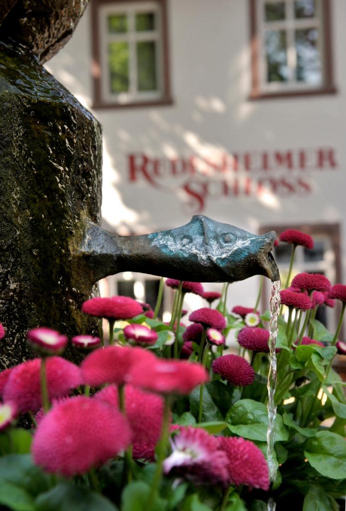 Breuer's Rüdesheimer Schloss photo 1