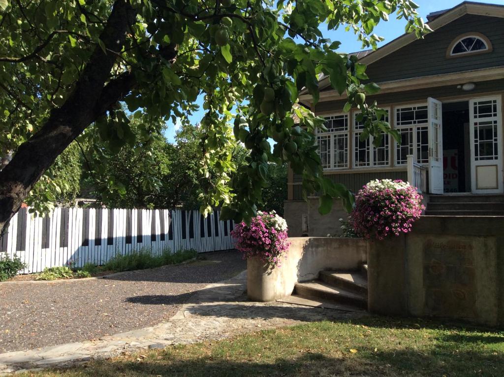 Väike-Liiva Villa photo 1