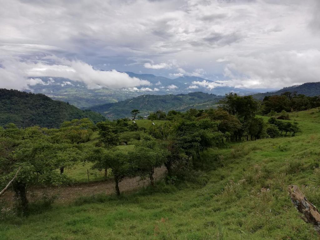 Finca Queveri photo 4