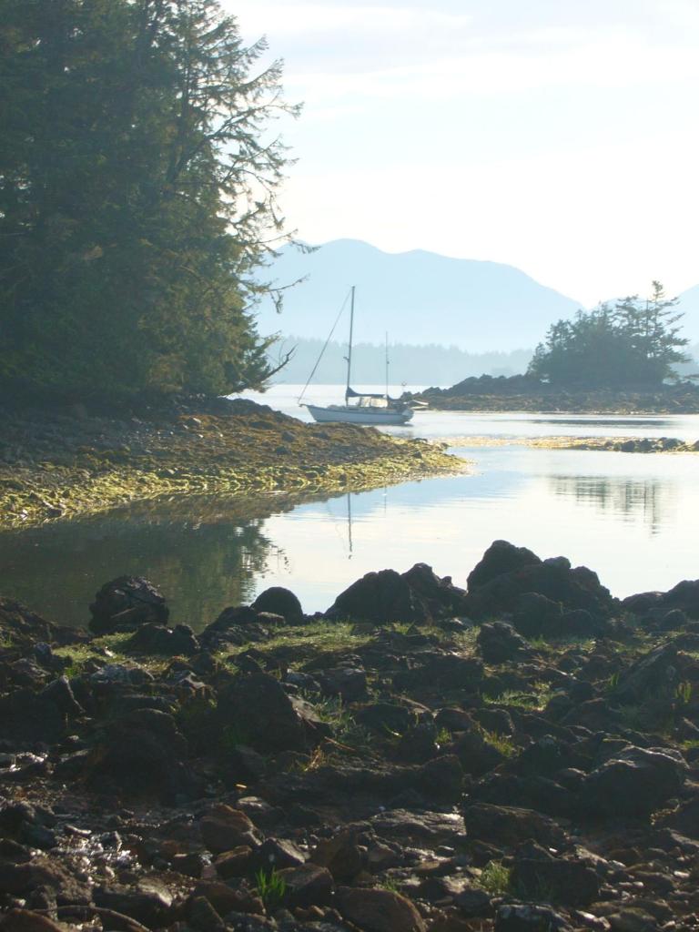 203 at Water's Edge photo 2