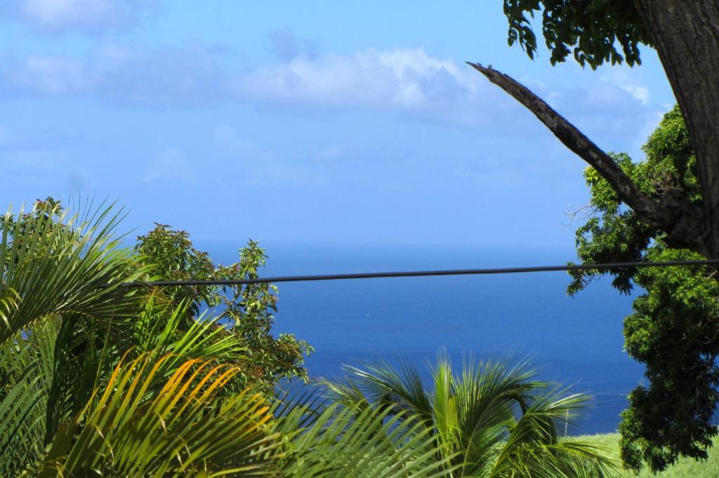 Or bleu-Bungalow volcan Soufriere-Vue sur mer photo 1