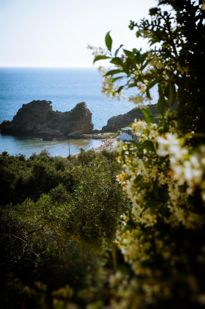Fotini's Apartments - Pelekas Beach photo 1