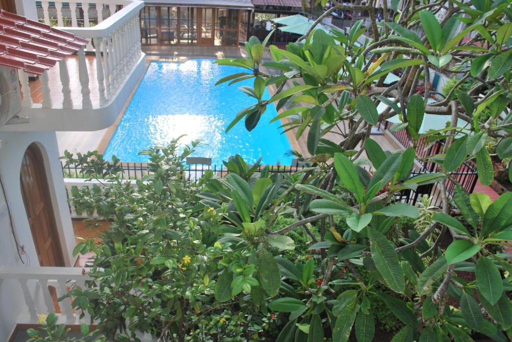 Семейный (Семейный люкс с видом на бассейн), Albuquerque Goa, Candolim