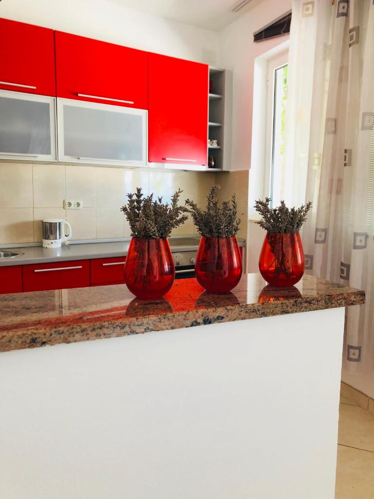 Sea view Apartment, Todorovic photo 3