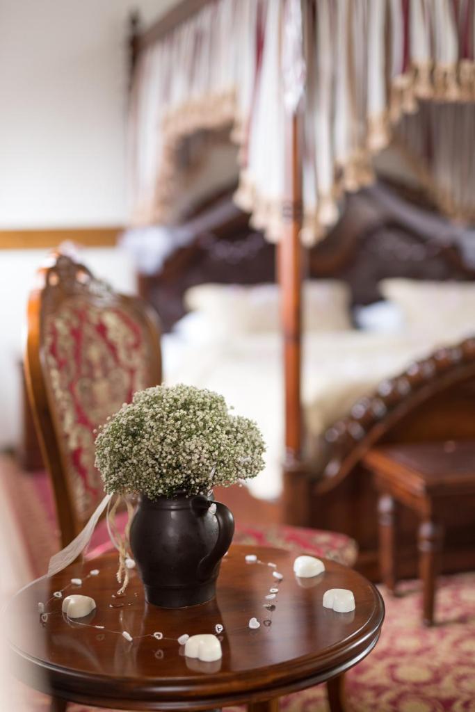 Двухместный (Двухместный номер Делюкс с 1 кроватью), Spa hotel Zámek Lužec