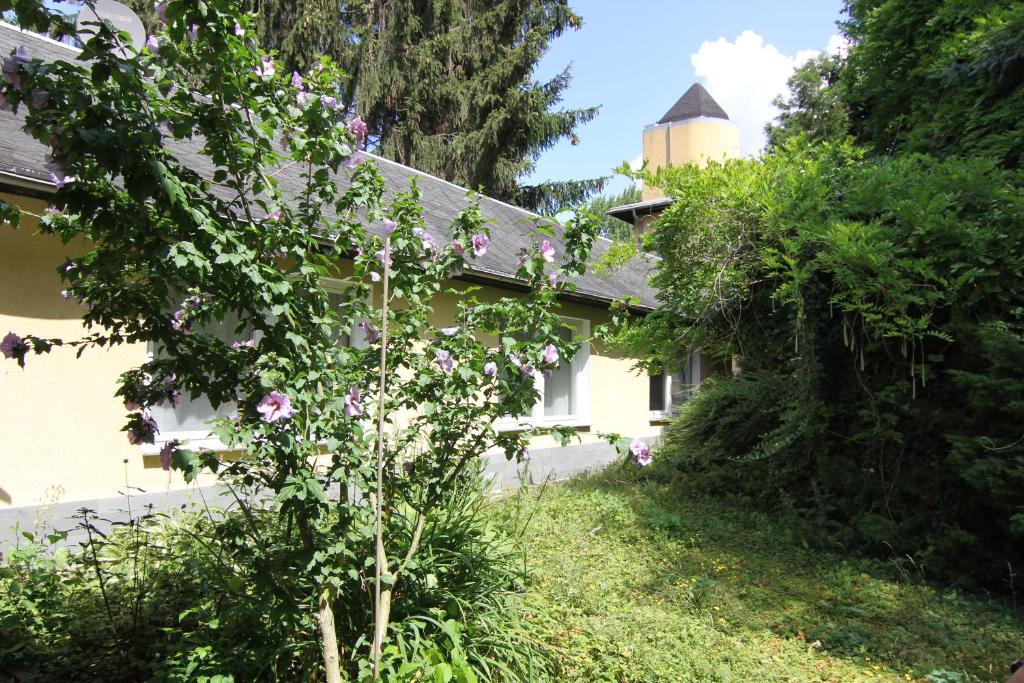 Двухместный (Двухместный номер с 1 кроватью - 1 этаж), Dresden City Apartments