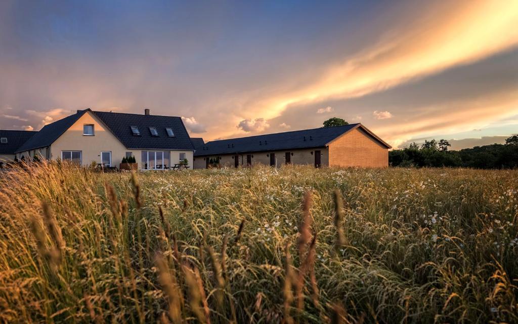 Bornholm Panorama Apartments photo 2