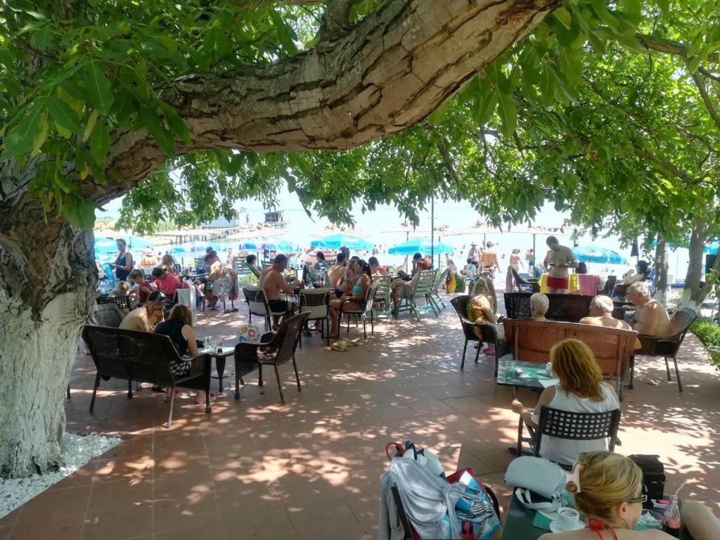 Apartmani Alex Beach photo 2