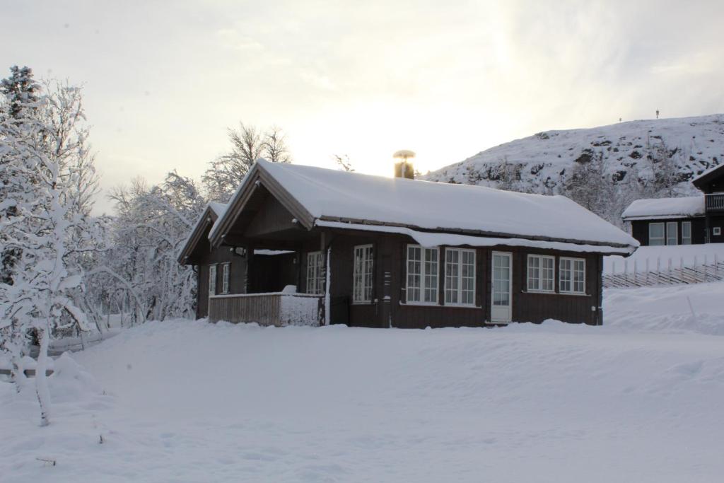 Bergestua - 4 bedroom cabin photo 2