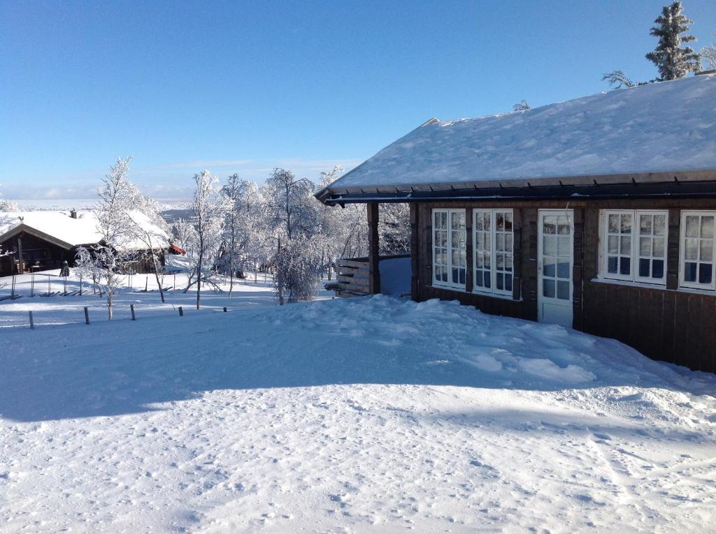 Bergestua - 4 bedroom cabin photo 3
