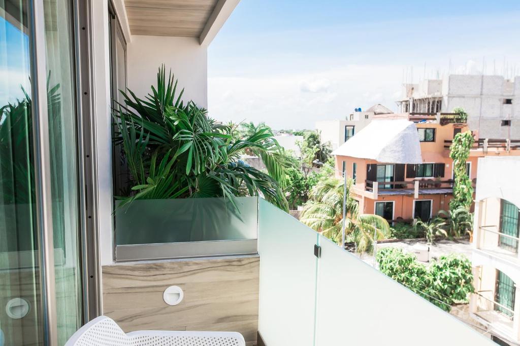 Newport House Playa Boutique Hotel photo 3