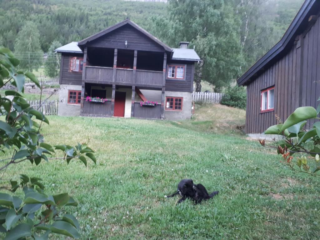 Teigen Gard photo 1