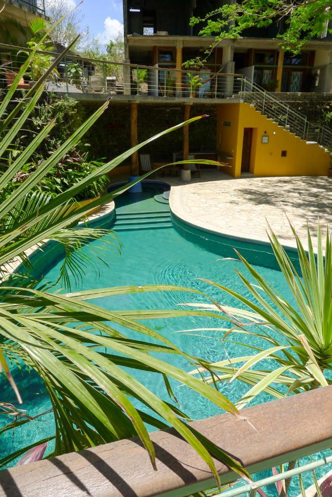 Modern Studio Suite - Close to Beach - Pool photo 1