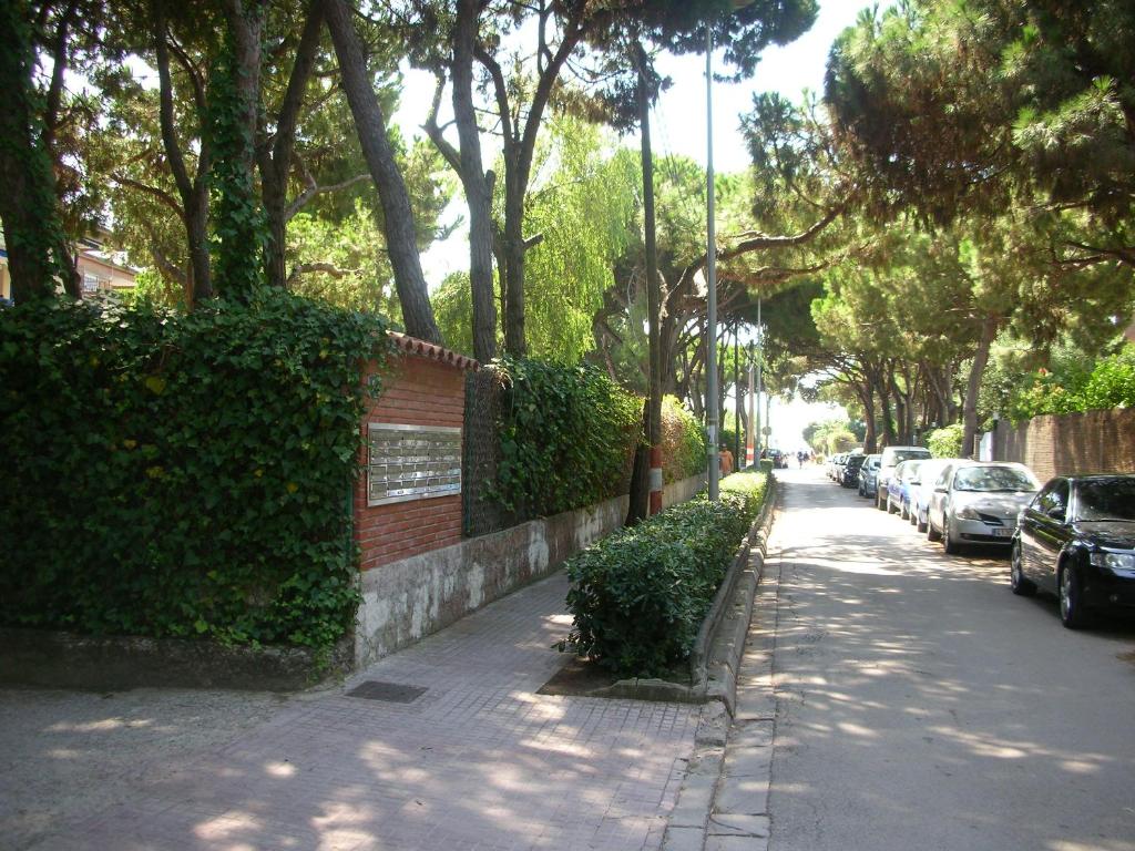 Groc Gava photo 1