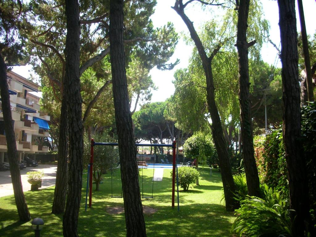 Groc Gava photo 3