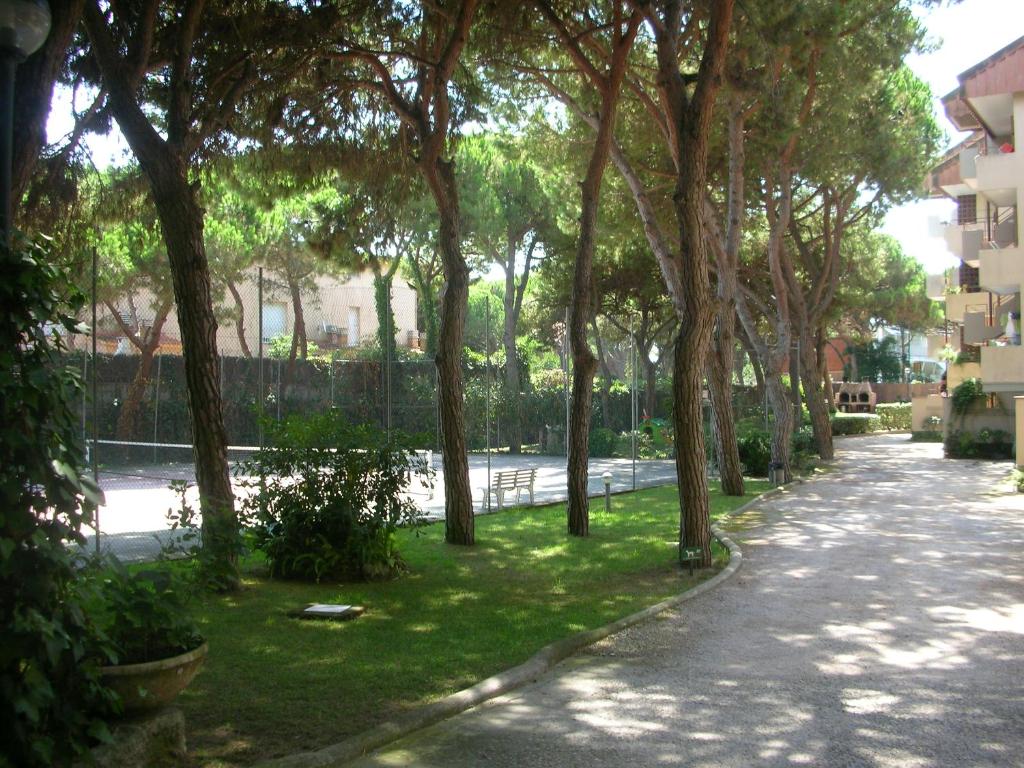 Groc Gava photo 4