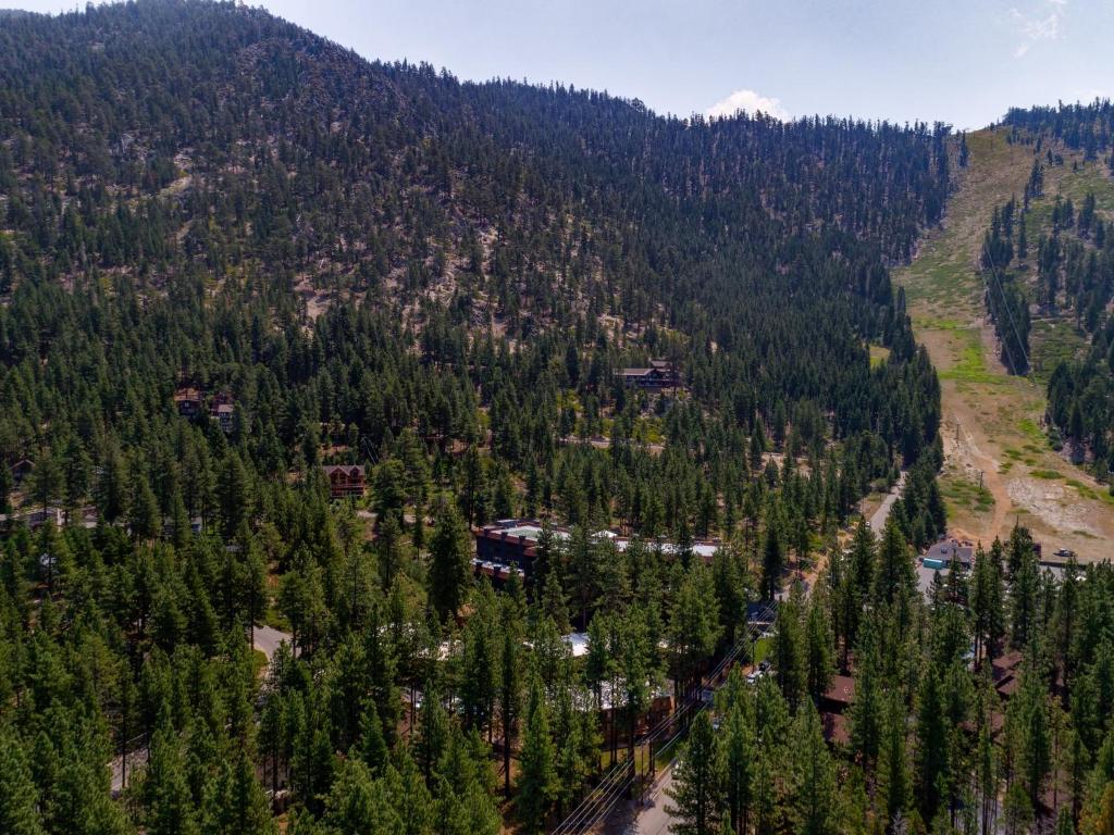 Heavenly Valley Townhouses photo 2