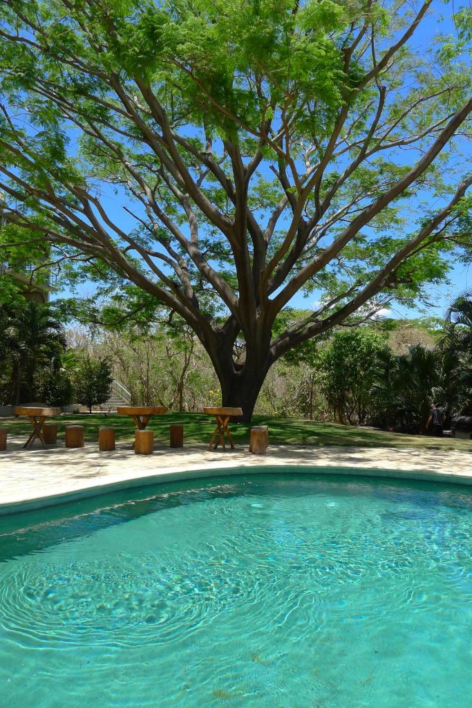 Amazing Studio Apartment with Pool - Close to Beach photo 3