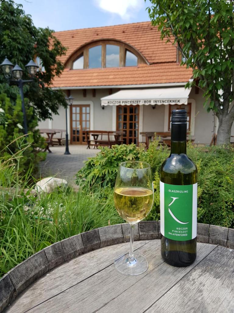 Koczor Winery & Guesthouse photo 2