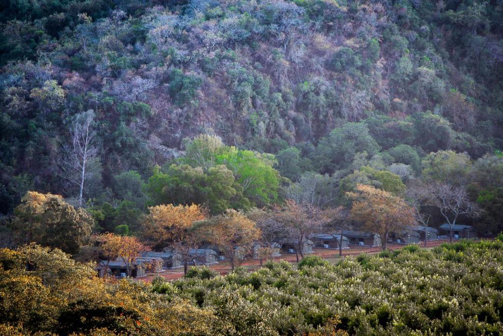 Lions Rock Rapids - Luxury Tented Camp