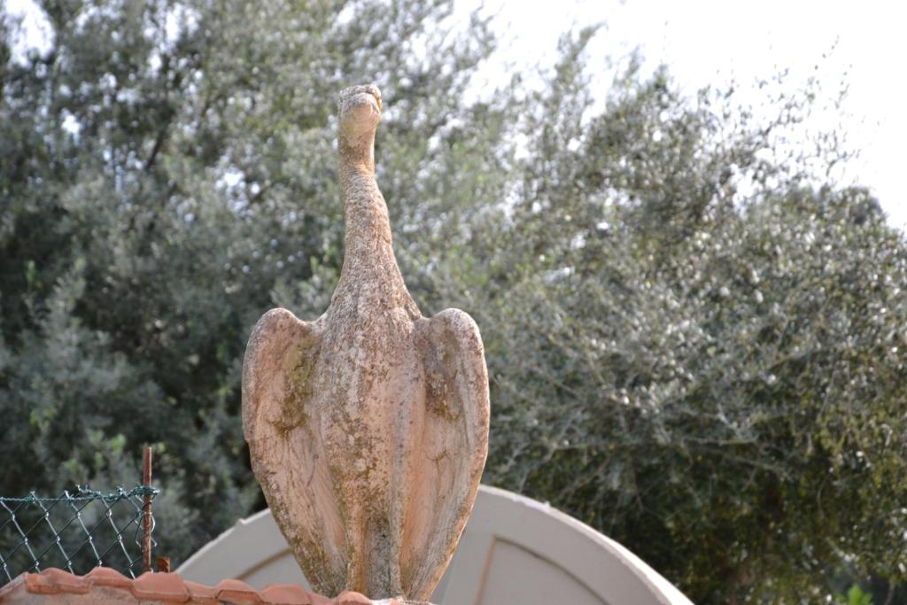 Villa Tiberio photo 4