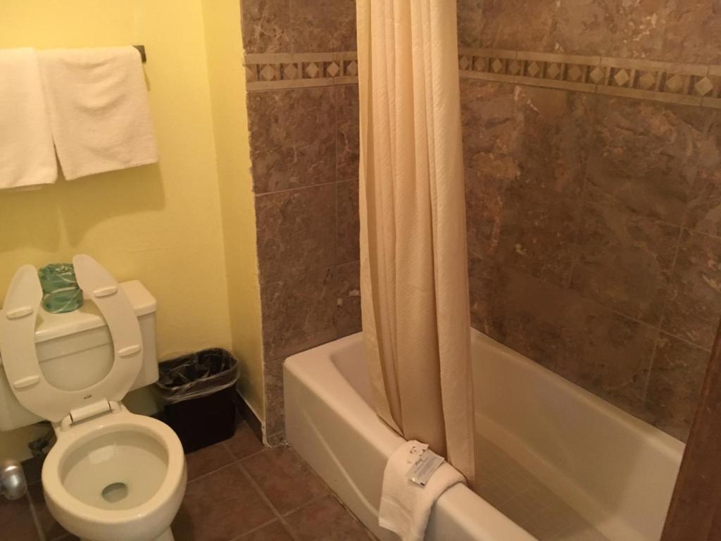Executive Inn Odessa photo 3