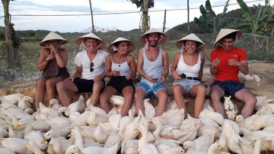 Phong Nha Rice Field Homestay