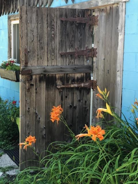 Country Living photo 2