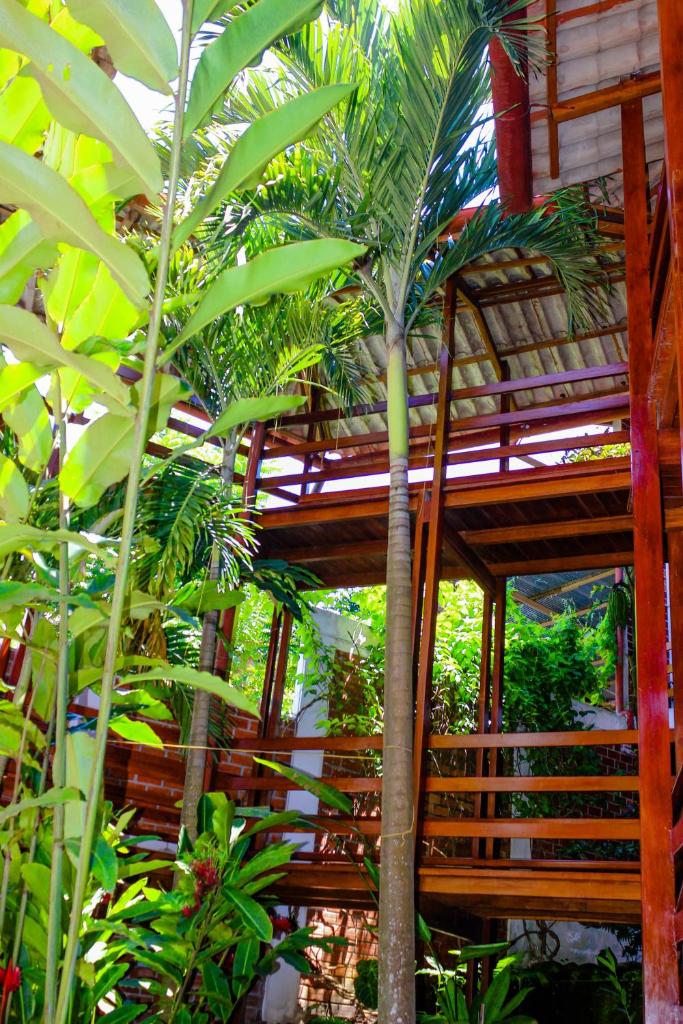 Hotel Rio Huallaga photo 4