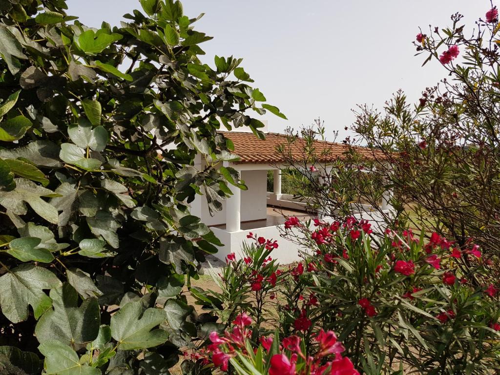 Capo Grillo Cottage Villa photo 2