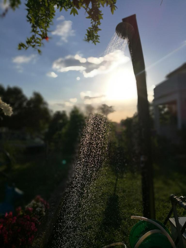 Apartman Branko photo 4