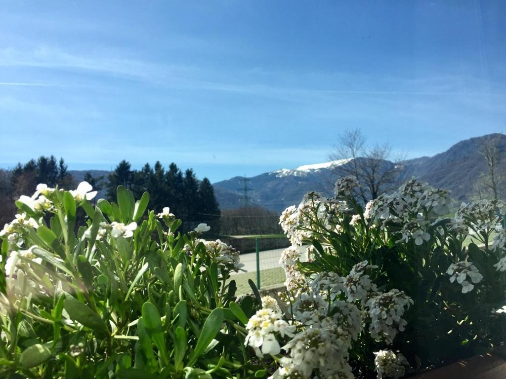Locanda Chiocciola photo 4
