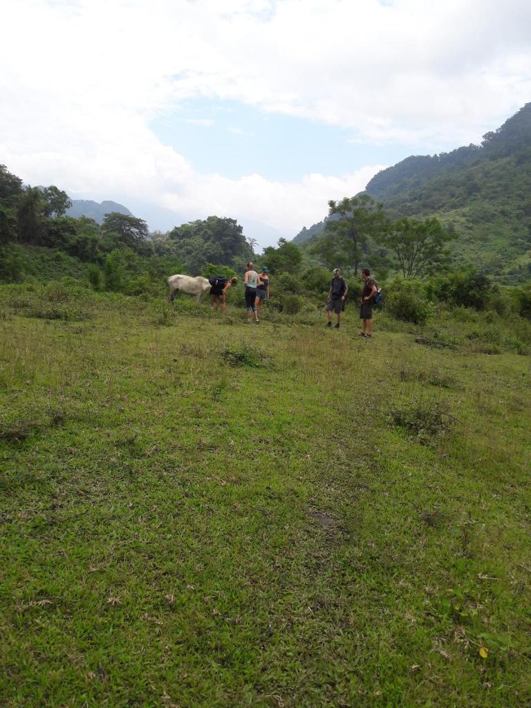 Ba Be Lake Homestay - Quynh Chi