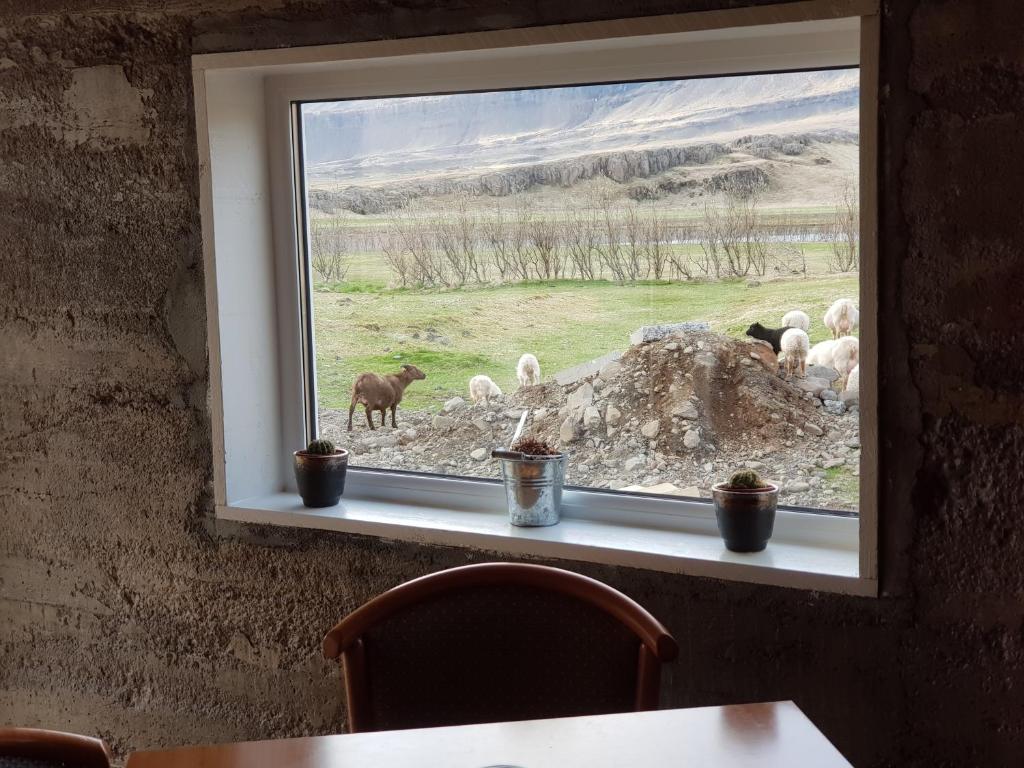 Bragdavellir Cottages photo 2