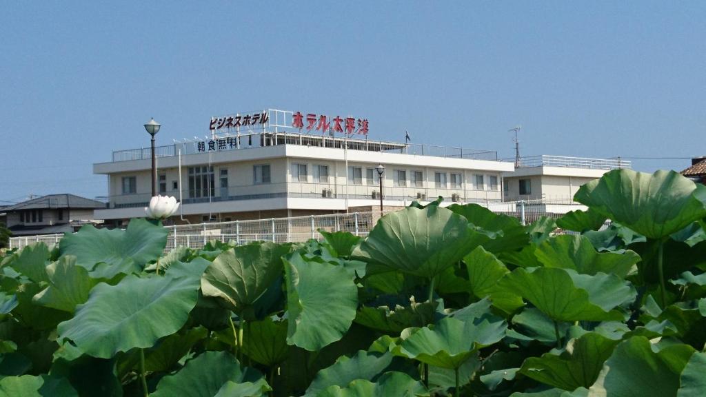 Hotel Taiheiyo photo 4