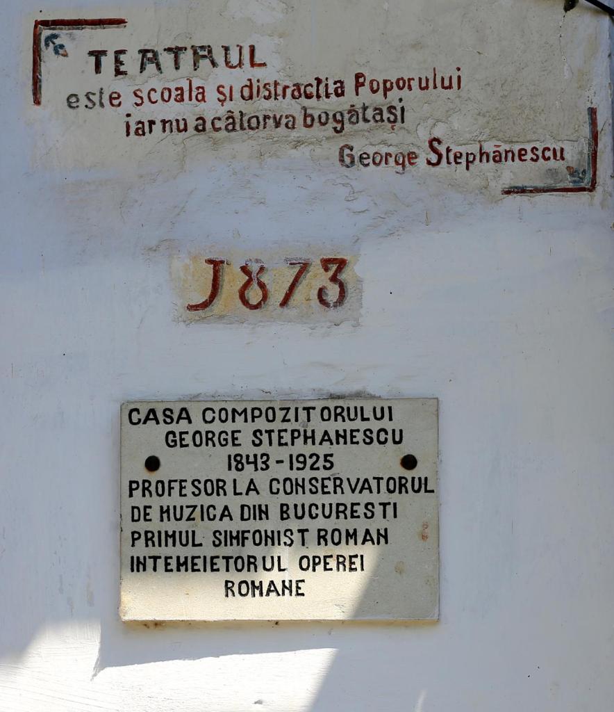 Casa Memoriala George Stephanescu photo 2