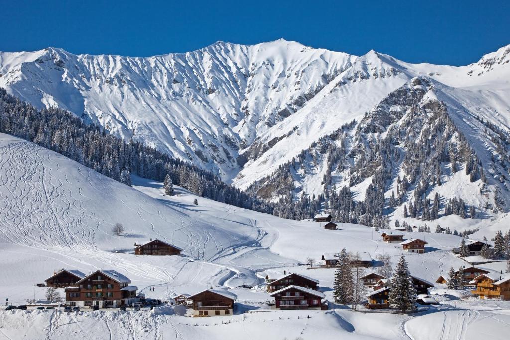 Hotel Des Alpes photo 4